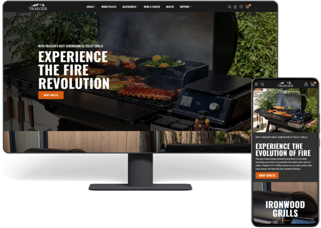 Traeger South Africa